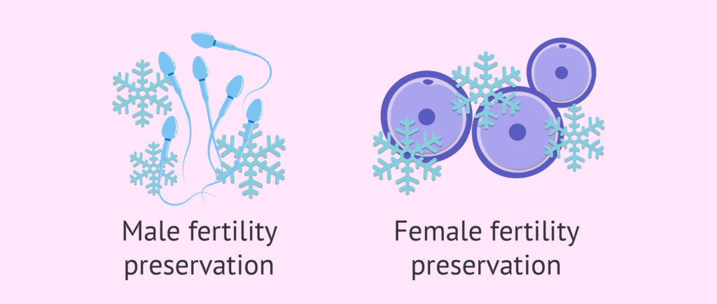 Fertility preservation concept showing male and female reproductive health icons