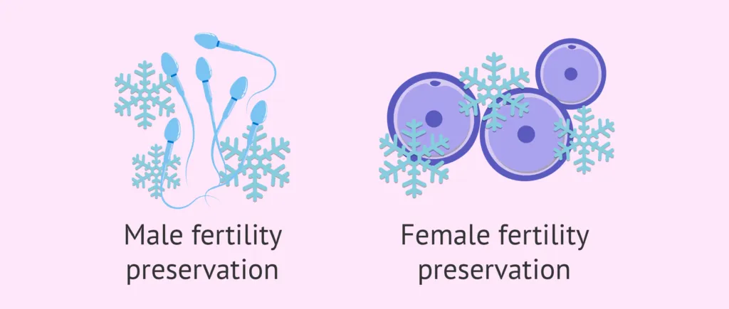 Fertility preservation concept showing male and female reproductive health icons